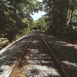 Meet your Posher, Sylvia